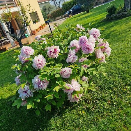 La Collina Del Riccio Apartman Ortona Kültér fotó