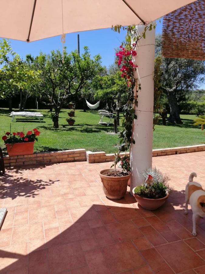 La Collina Del Riccio Apartman Ortona Kültér fotó