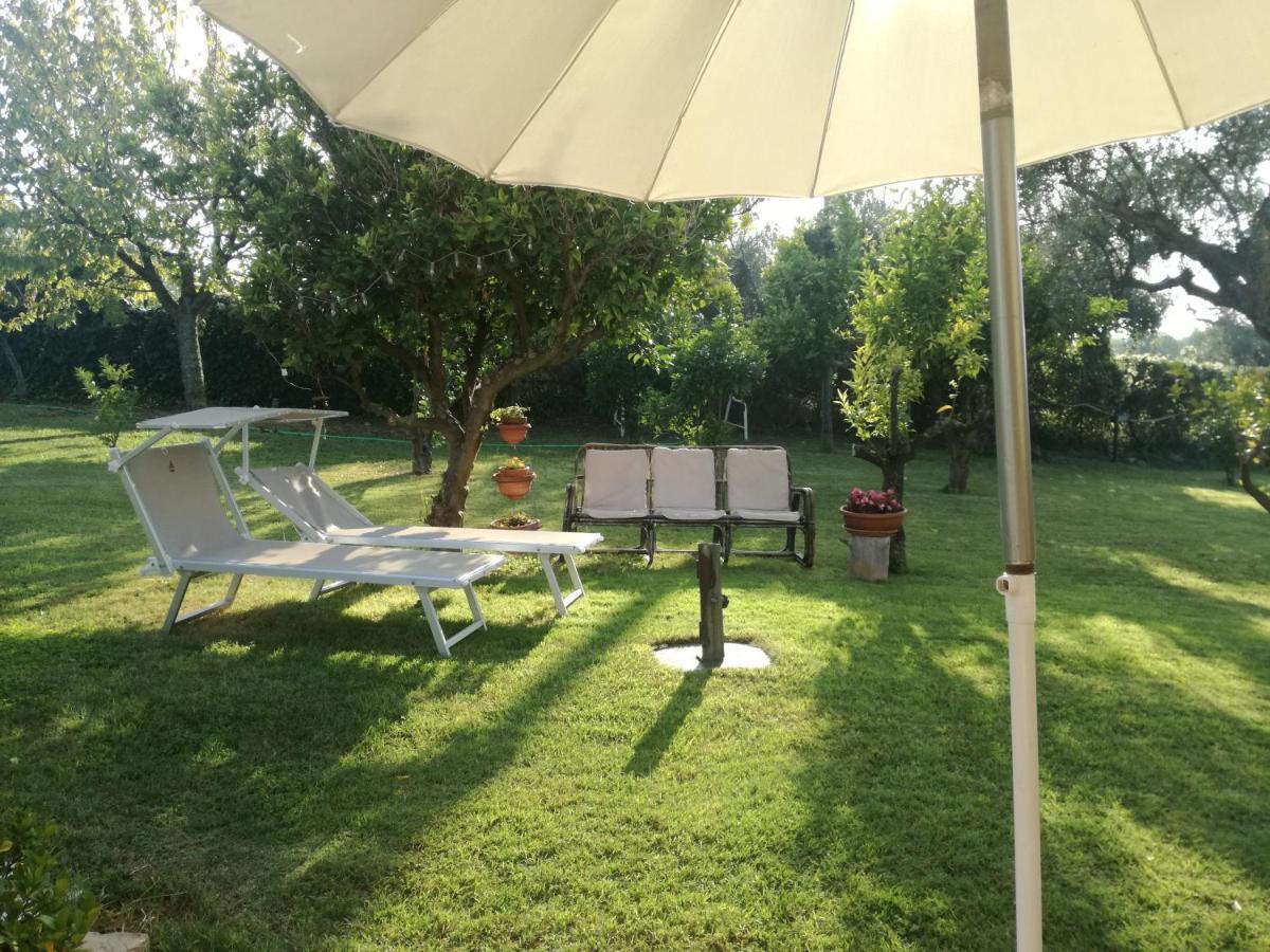 La Collina Del Riccio Apartman Ortona Kültér fotó