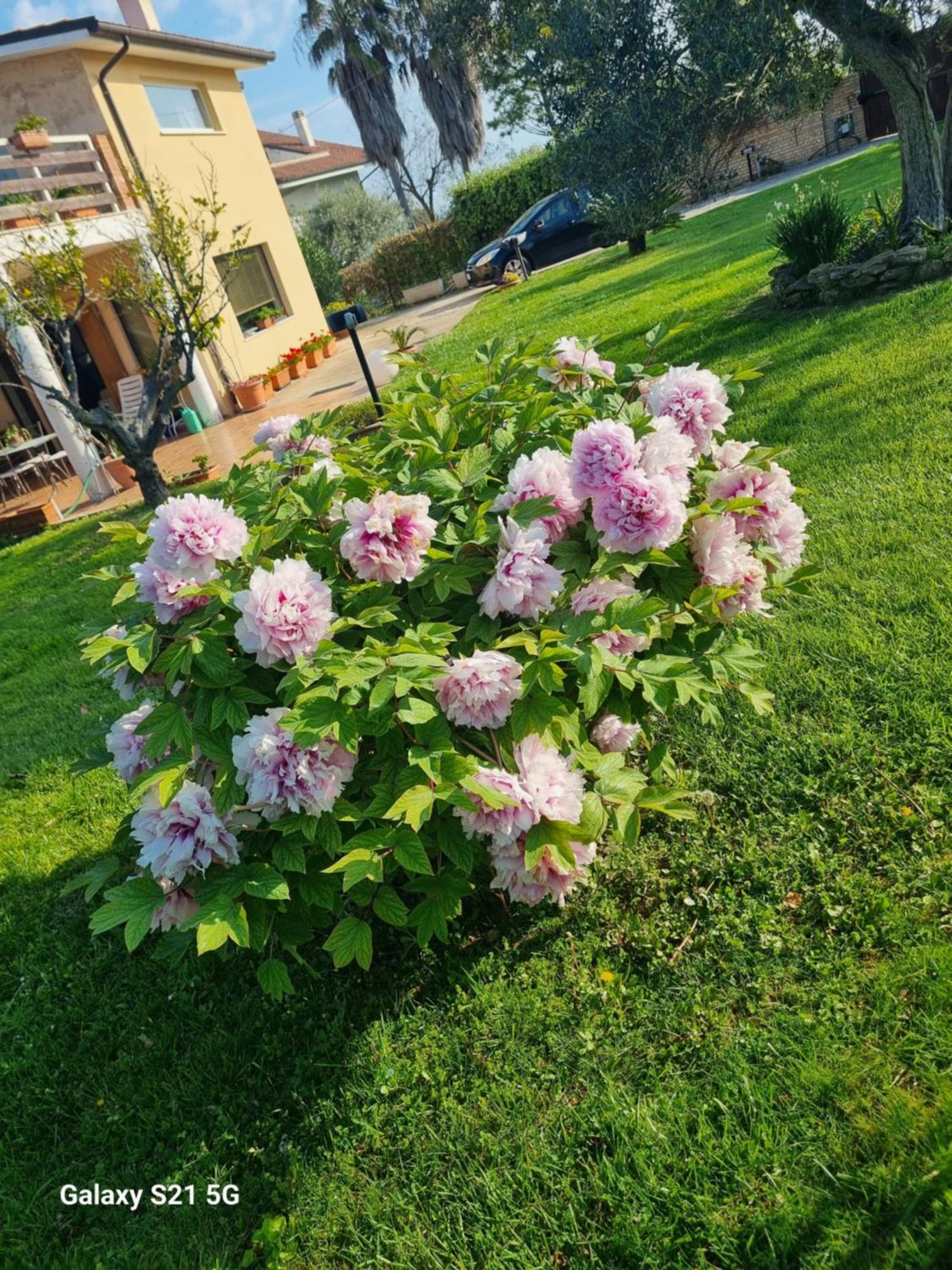 La Collina Del Riccio Apartman Ortona Kültér fotó