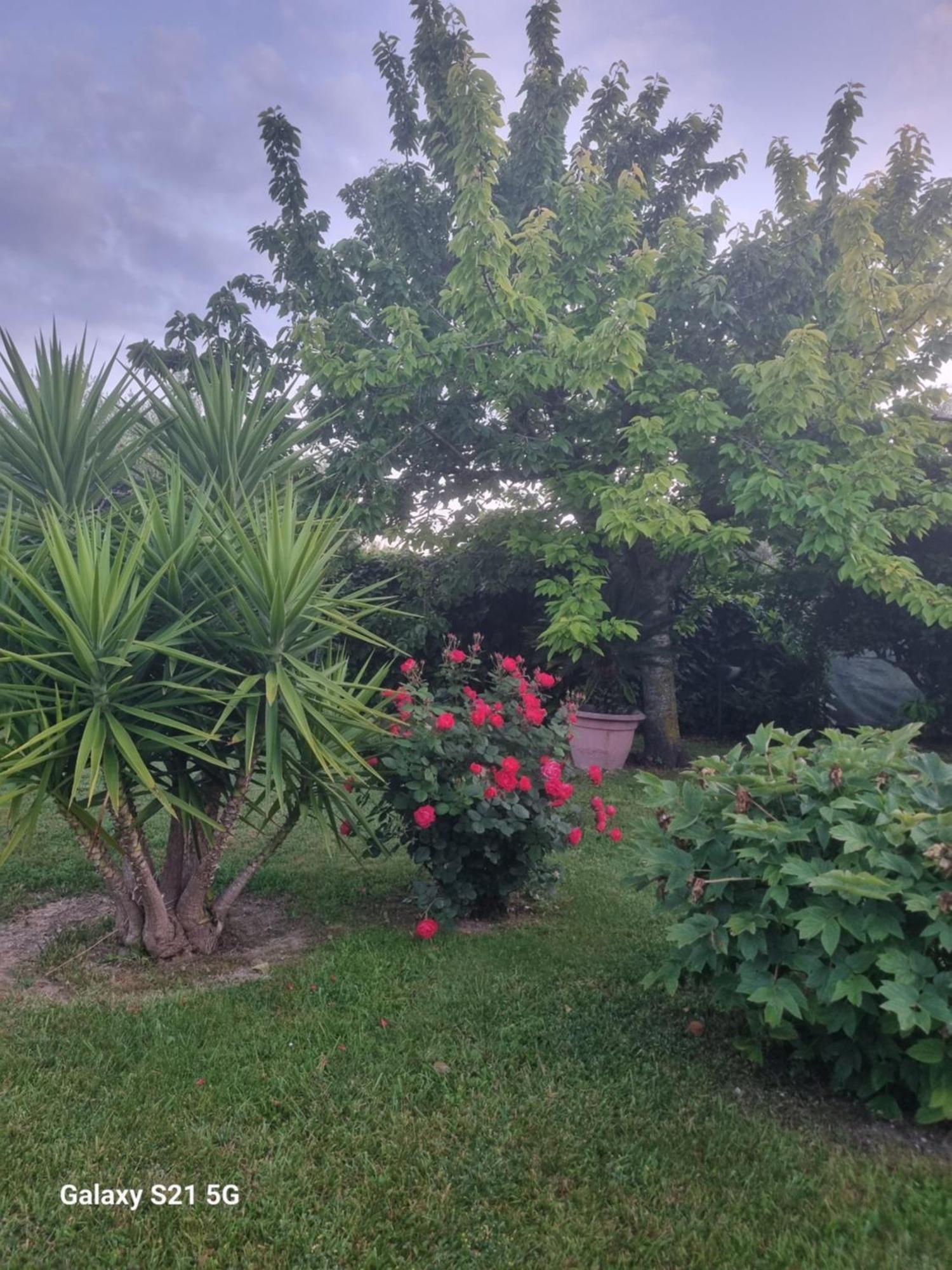 La Collina Del Riccio Apartman Ortona Kültér fotó