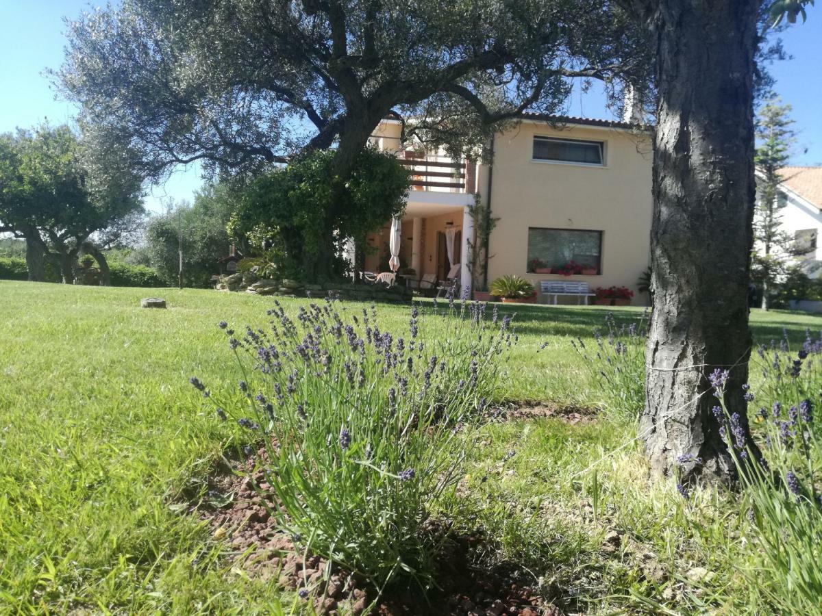 La Collina Del Riccio Apartman Ortona Kültér fotó