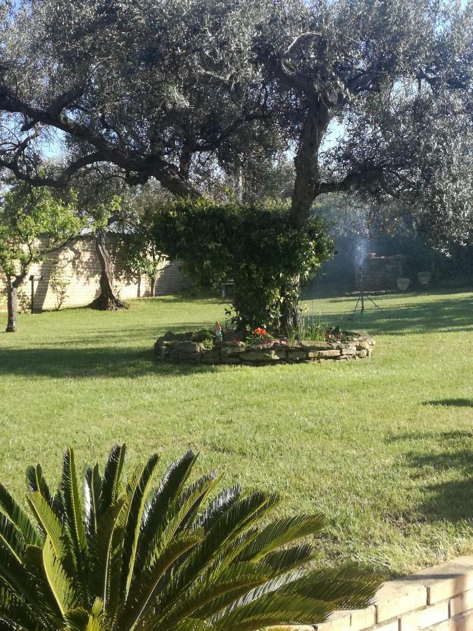 La Collina Del Riccio Apartman Ortona Kültér fotó